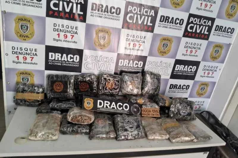 Polícia apreende mais de 20 quilos de skunk com passageiro de ônibus na BR-230; droga é avaliada em R$ 600 mil 3 apreensao skunk 3001