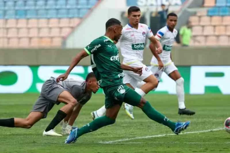 palmeiras x queimadense