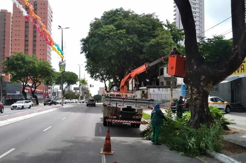 poda via folia 2801