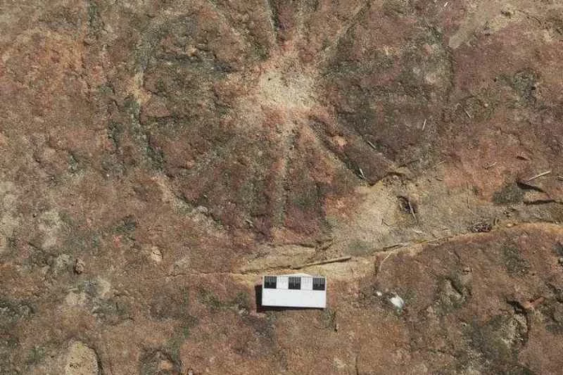 Sítio na Paraíba tem conjunto inédito de pegadas de dinossauro e arte rupestres 2 sitio arqueologico sousa