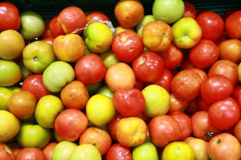 tomates