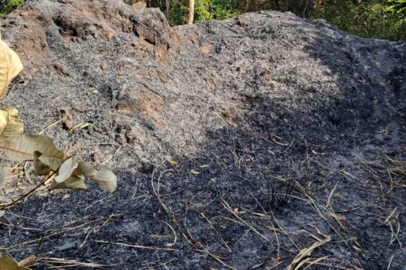 Corpo é encontrado carbonizado em área atingida por incêndio em João Pessoa 6 corpo carbonizado jp 0211