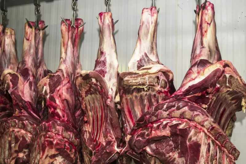 carne