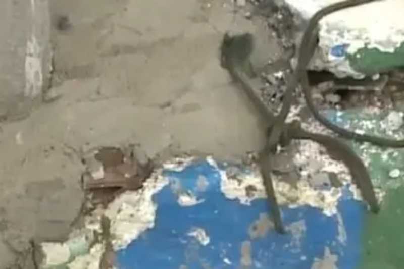 Motociclista suspeito de atropelar criança é amarrado e espancado em João Pessoa 2 caso motoqueiro espancado 290125