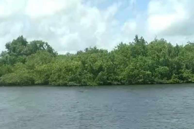 rio sanhaua