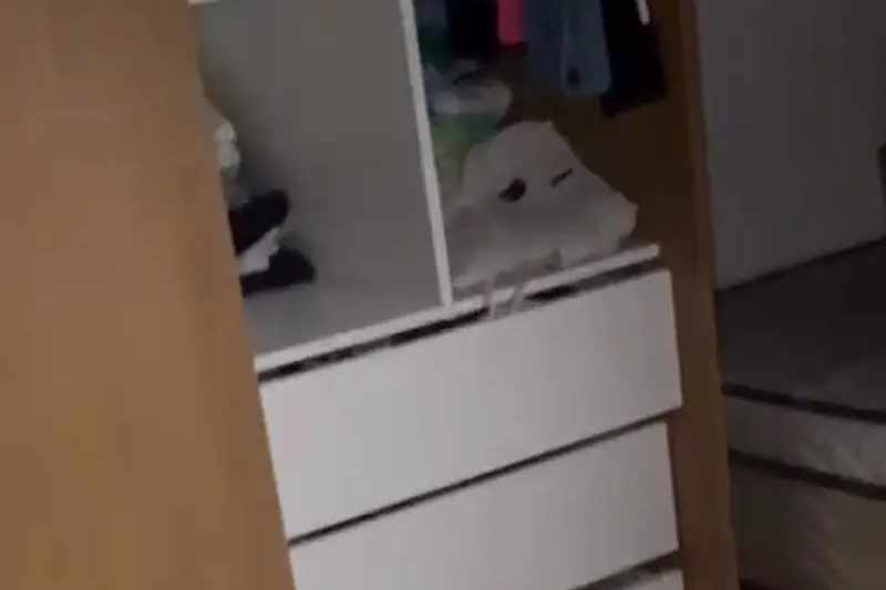 Influenciadora afirma ter tido R$ 50 mil em itens furtados de casa, em Santa Rita 3 arrombamento casa influencer 040325