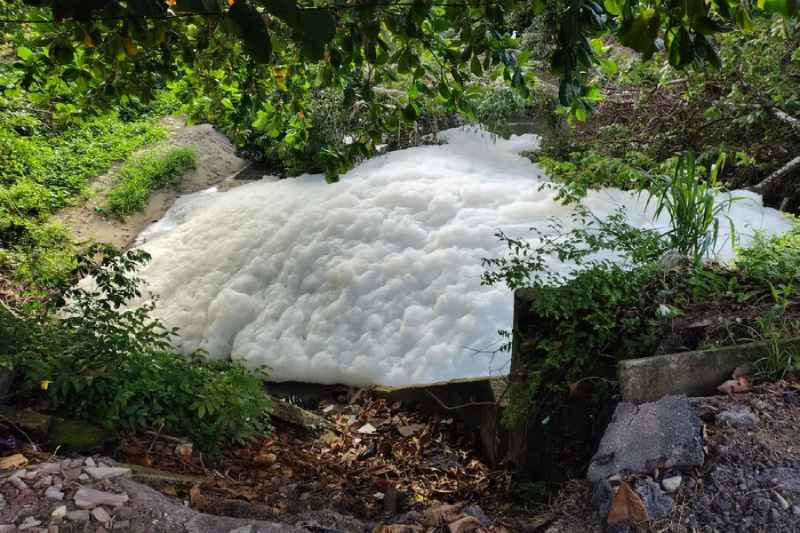 espuma rio jaguaribe