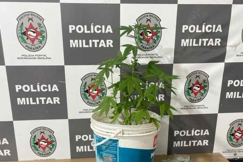 apreensao valentina 030425