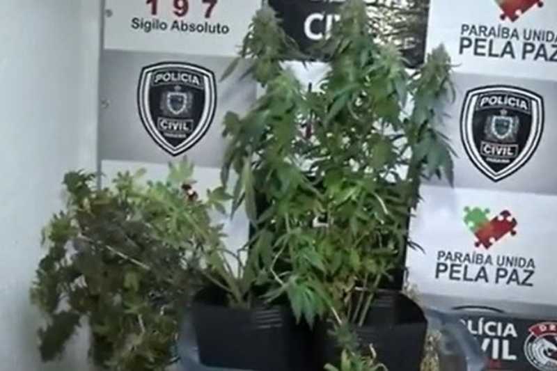 maconha apartamento 230725