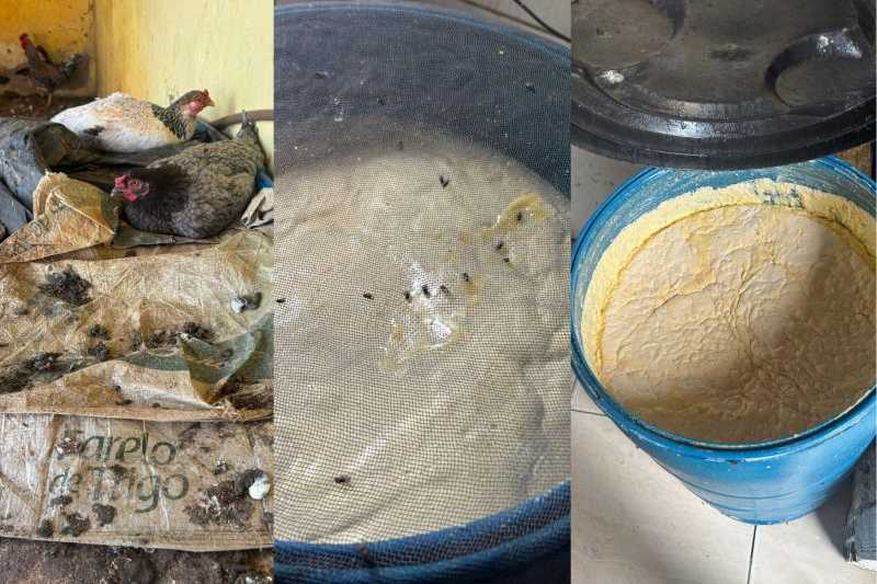 queijeira interditada caicara