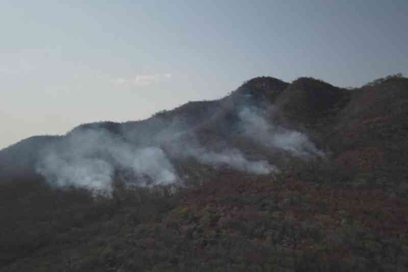 Bombeiros intensificam combate e esperam encerrar incêndio na Serra do Cruzeiro ainda nesta sexta-feira (19) 4 incendio serra do cruzeiro 180925