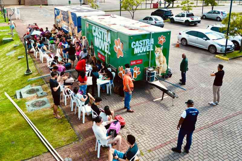 PMJP oferta mais 200 vagas para castração de gatos no bairro de Mangabeira a partir desta segunda-feira (20) 4 castramovel mangabeira 131025