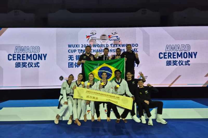 netinho campeao equipes