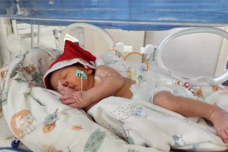 bebe noel 241225