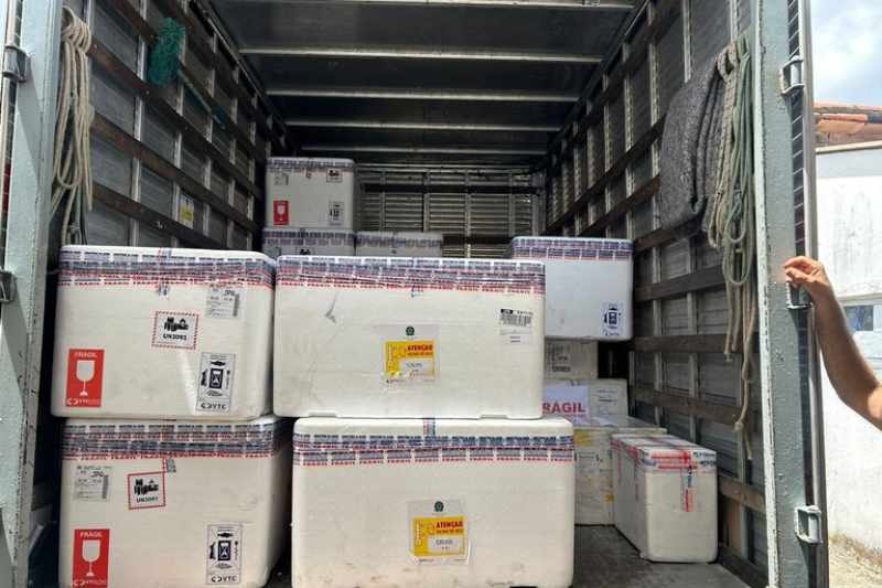 Paraíba recebe primeiras doses da vacina contra o vírus sincicial respiratório para gestantes 2 chegada vacinas pb 031225