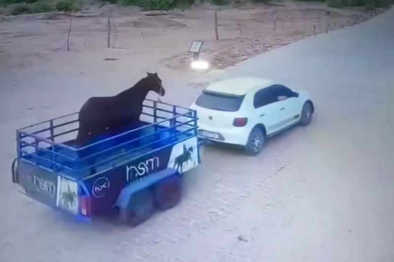 roubo cavalo 091225
