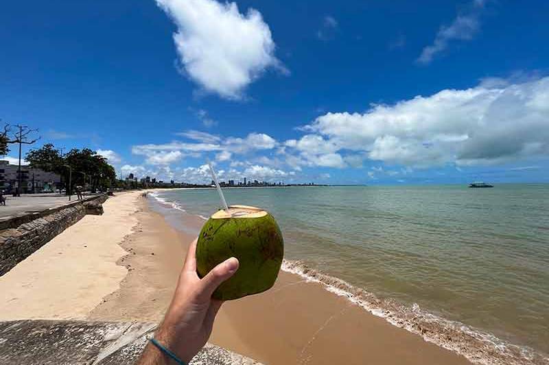 Pesquisa do Procon-PB aponta variação de até 188% no preço do coco na orla de JP 4 coco verde