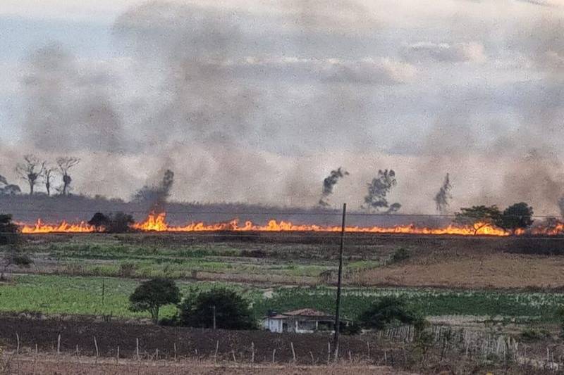 incendio agreste 070126