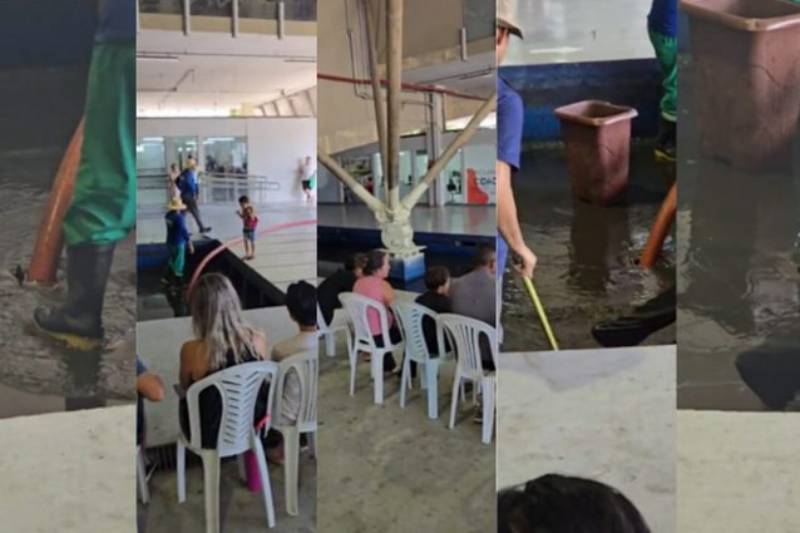 Funesc retira peixes do espelho d’água do Espaço Cultural durante obras 4 peixes espaco cultural