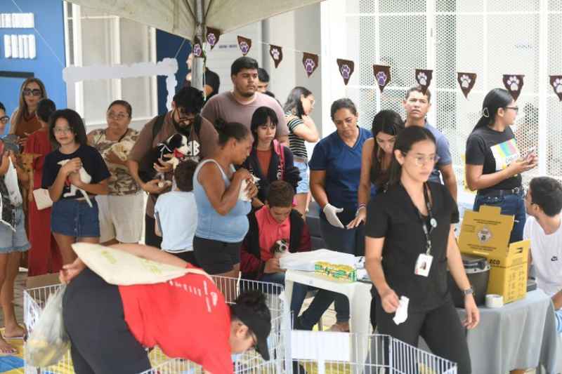 adota mais paraiba