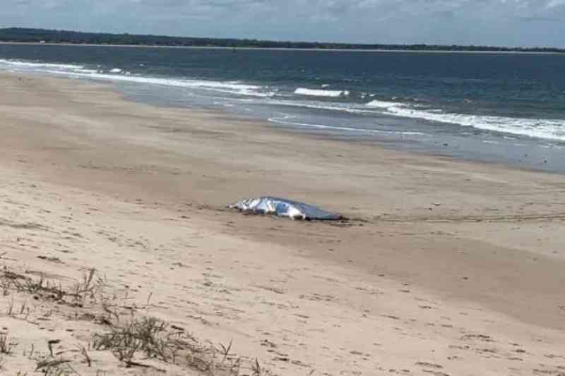Corpo é encontrado no mar em Cabedelo e polícia suspeita de ligação com briga 1 corpo praia miramar 040326