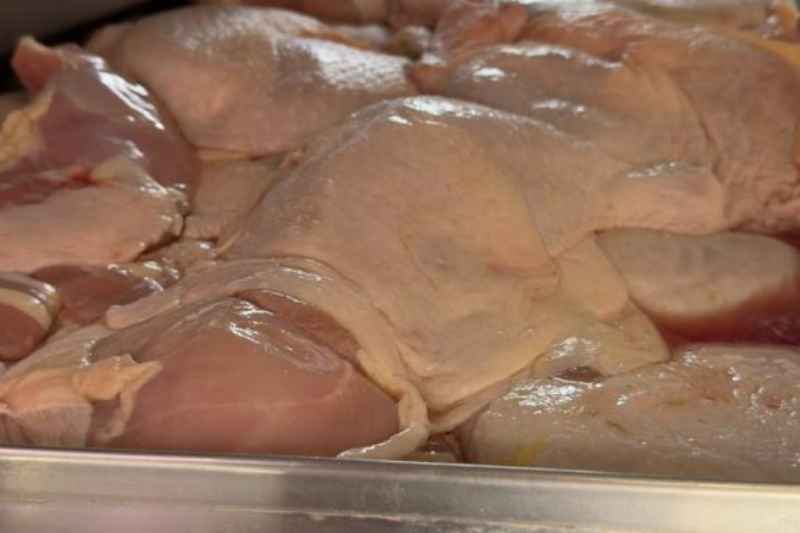 frango estragado 300326