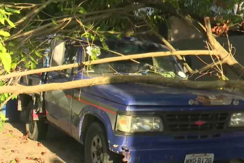 Queda de galho atinge carro e revela negligência com árvore infestada de cupins no Bessa 2 galho arvore bessa 100426
