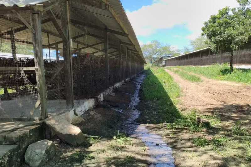 granja cg 110626