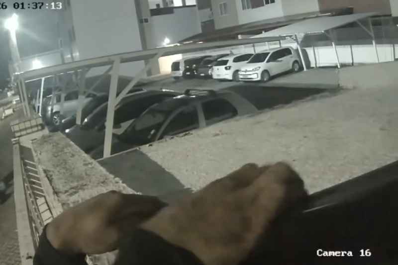 invasao condominio 060626
