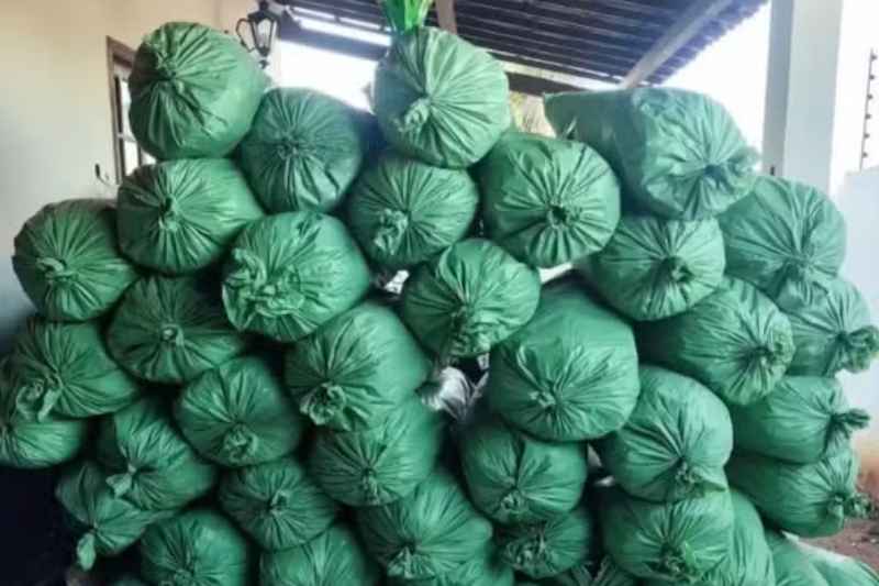 apreensao cariri 070726