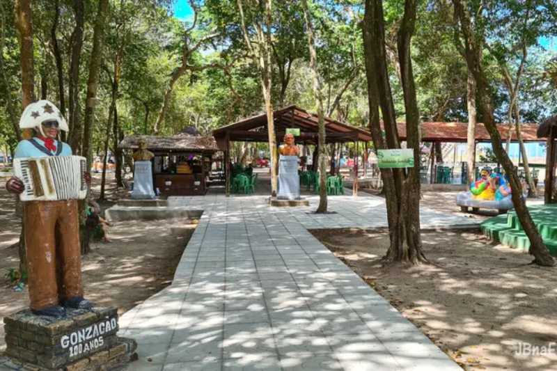 bosque dos sonhos