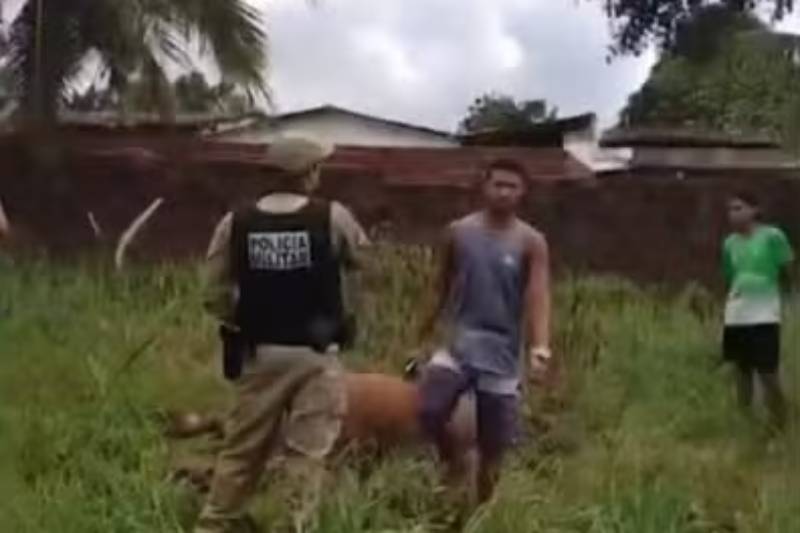 suspeita agressao coronel animal 290726