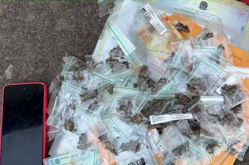 Operação cumpre 30 mandados contra grupo suspeito de tráfico e lavagem de dinheiro em João Pessoa 2 operacao trapiche 160926