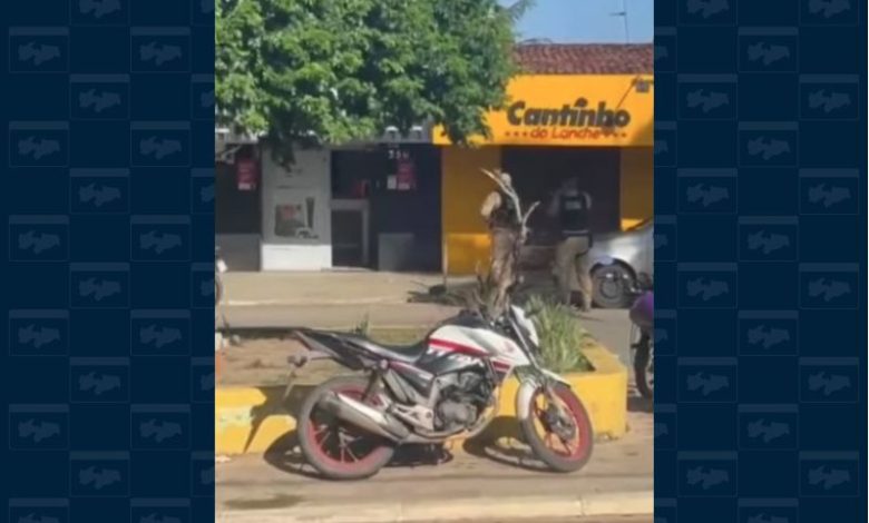 assalto conde 061026