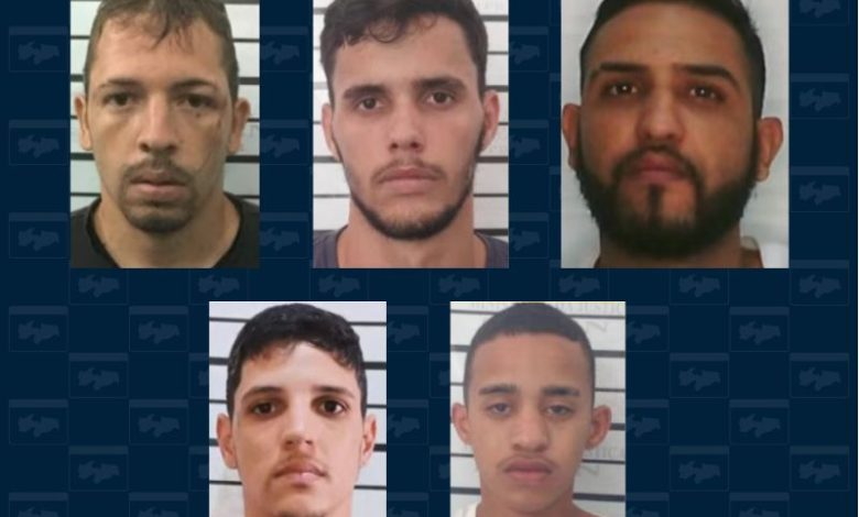 fugitivos caapora