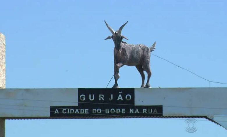 Site da Prefeitura de Gurjão é alvo de ataque hacker e fica instável 1 gurjao