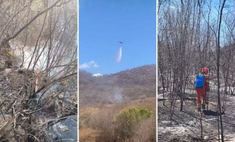 incendio lagoa pb