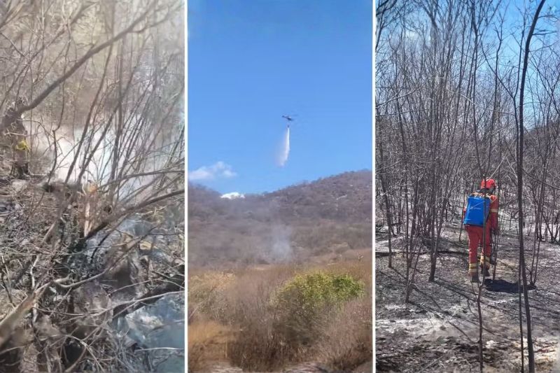 Incêndio atinge cerca de 800 hectares e segue sob monitoramento no Sertão da Paraíba 16 incendio lagoa pb