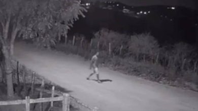Motorista se apresenta à Polícia Civil após acidente que matou menino de 10 anos em Massaranduba 5 motorista fugindo 131026