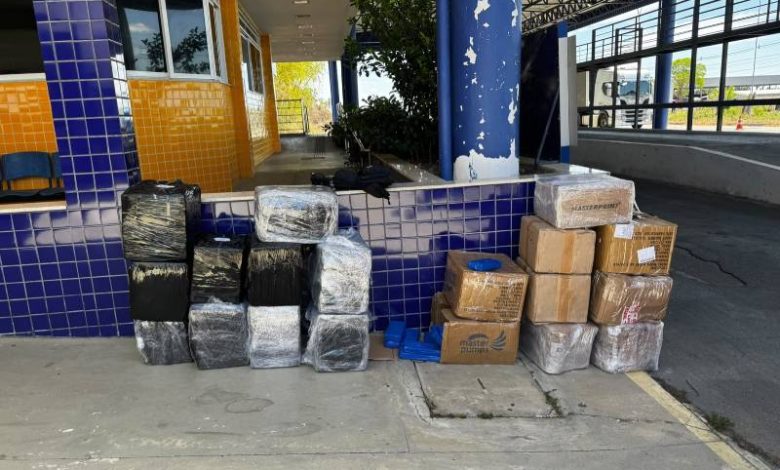 Caminhoneiro paraibano é preso na Bahia com mais de 523 kg de drogas avaliados em R$ 1 milhão 1 prisao caminhoneiro esperanca 051026